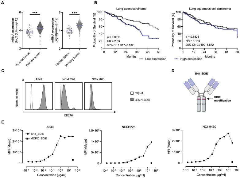 https://cdn.ncbi.nlm.nih.gov/pmc/blobs/1420/12350344/3095740ba122/fimmu-16-1624751-g001.jpg