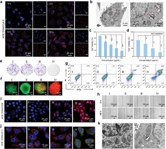 https://cdn.ncbi.nlm.nih.gov/pmc/blobs/1424/11831451/7fba961fb9fb/ADVS-12-2414734-g008.jpg