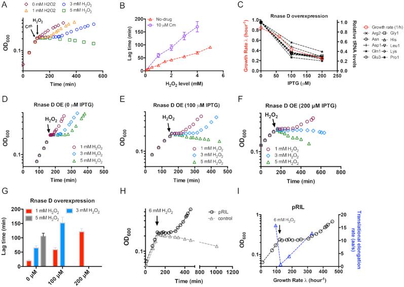 https://cdn.ncbi.nlm.nih.gov/pmc/blobs/1425/6698664/867c5014fc40/gkz467fig6.jpg