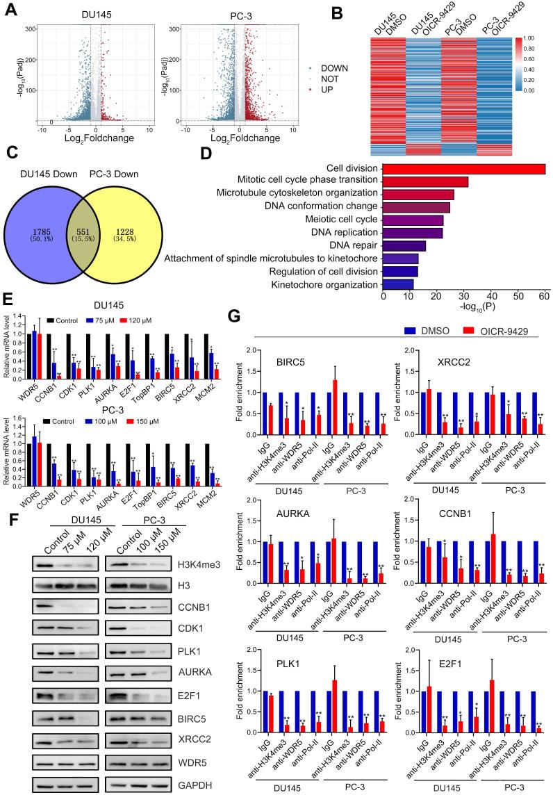 https://cdn.ncbi.nlm.nih.gov/pmc/blobs/1426/7978315/6dd3b2e5a819/thnov11p4809g005.jpg
