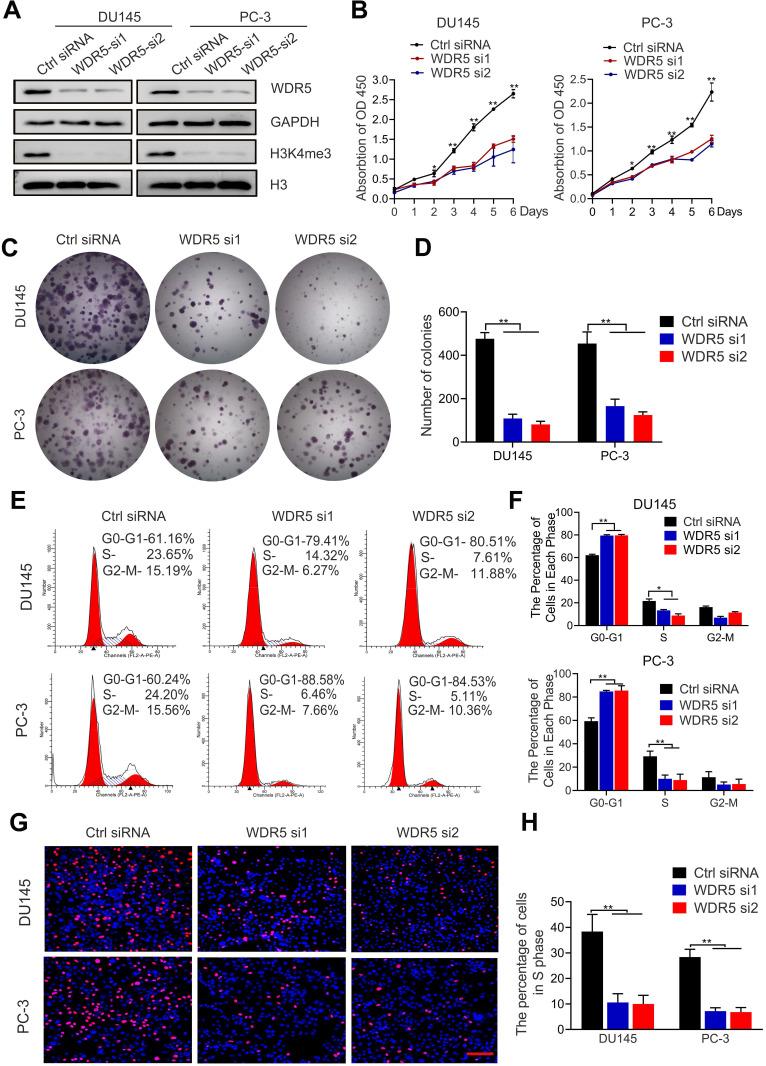 https://cdn.ncbi.nlm.nih.gov/pmc/blobs/1426/7978315/a14f5df5acae/thnov11p4809g002.jpg