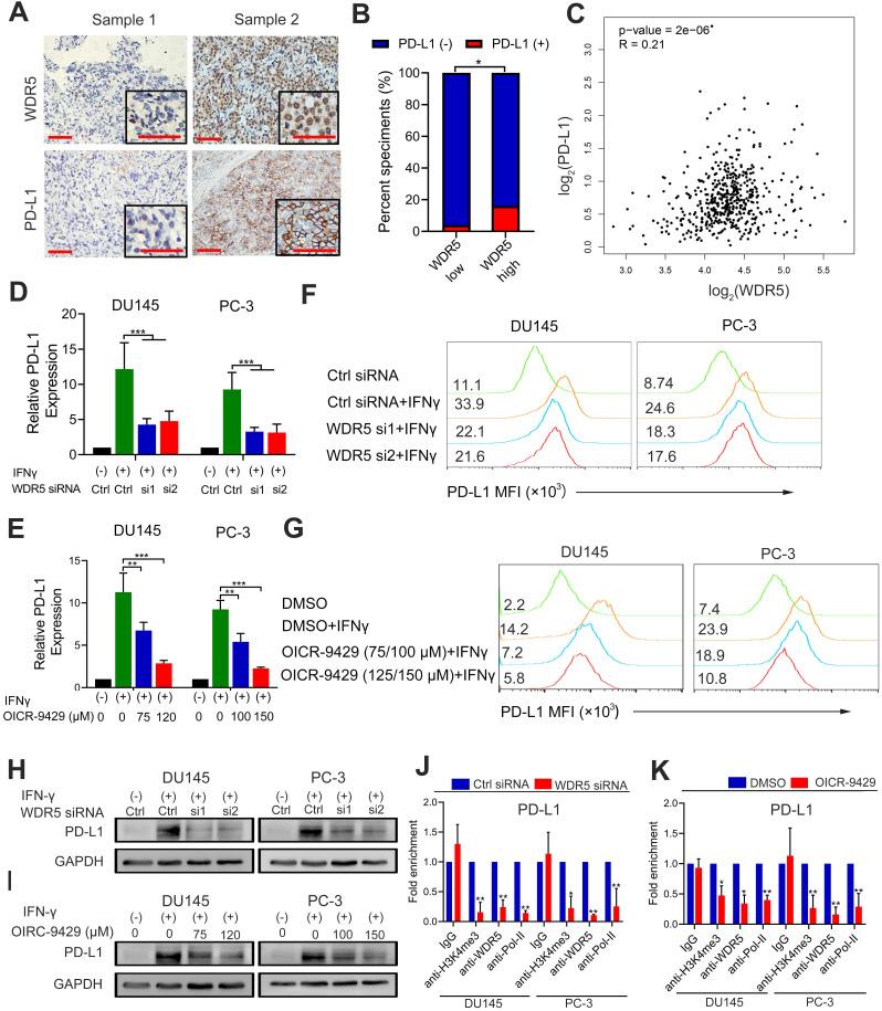 https://cdn.ncbi.nlm.nih.gov/pmc/blobs/1426/7978315/ac2b0ceab1ba/thnov11p4809g006.jpg