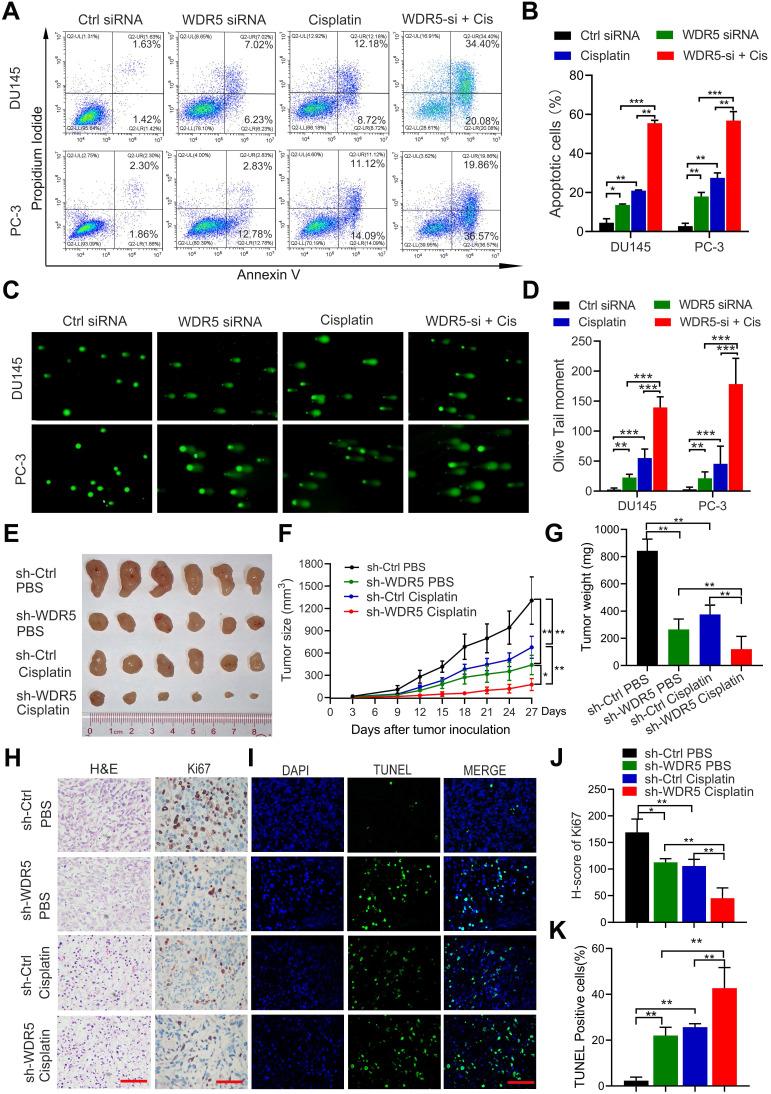 https://cdn.ncbi.nlm.nih.gov/pmc/blobs/1426/7978315/dfd072f3c279/thnov11p4809g003.jpg
