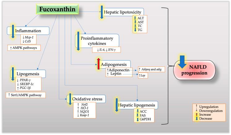 https://cdn.ncbi.nlm.nih.gov/pmc/blobs/1427/10146066/23f6efd949f3/nutrients-15-01954-g001.jpg