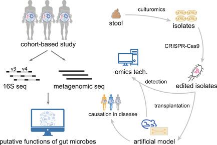 https://cdn.ncbi.nlm.nih.gov/pmc/blobs/1428/10989872/79c6f2904ca3/IMT2-1-e14-g001.jpg