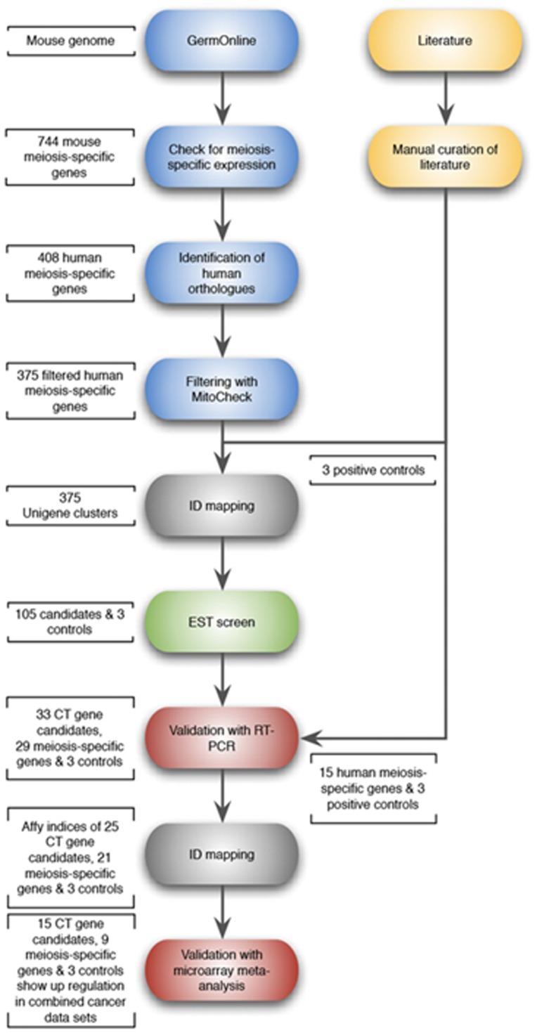 https://cdn.ncbi.nlm.nih.gov/pmc/blobs/1429/3478461/4633f98989ad/oncotarget-08-843-g002.jpg