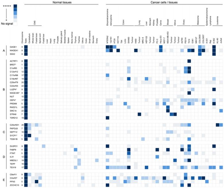https://cdn.ncbi.nlm.nih.gov/pmc/blobs/1429/3478461/47187b6c6bd7/oncotarget-08-843-g003.jpg