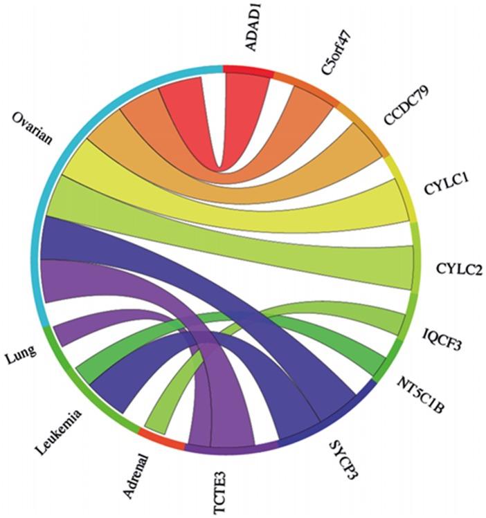 https://cdn.ncbi.nlm.nih.gov/pmc/blobs/1429/3478461/5d90861265ff/oncotarget-08-843-g006.jpg