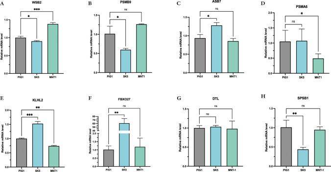 https://cdn.ncbi.nlm.nih.gov/pmc/blobs/142a/11604891/0903836eb52f/12672_2024_1627_Fig12_HTML.jpg