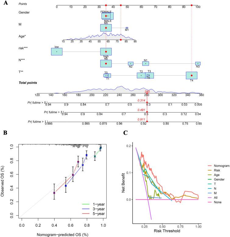 https://cdn.ncbi.nlm.nih.gov/pmc/blobs/142a/11604891/0b1bce3d4e14/12672_2024_1627_Fig6_HTML.jpg