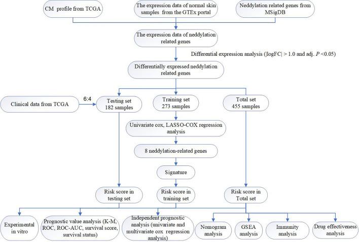 https://cdn.ncbi.nlm.nih.gov/pmc/blobs/142a/11604891/a5d3d99da371/12672_2024_1627_Fig1_HTML.jpg