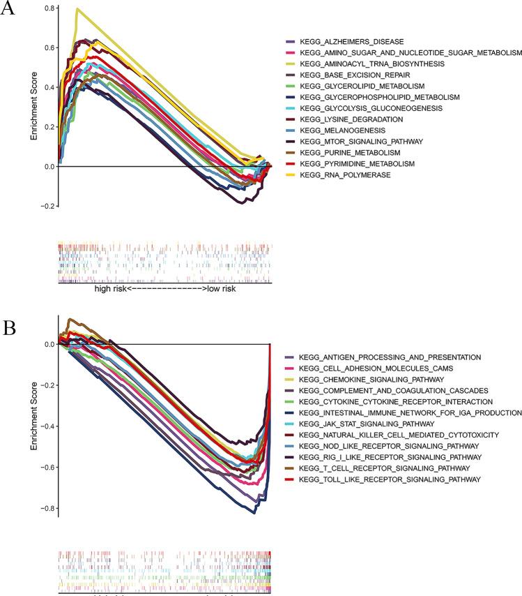 https://cdn.ncbi.nlm.nih.gov/pmc/blobs/142a/11604891/ccd3ce08d7e8/12672_2024_1627_Fig7_HTML.jpg