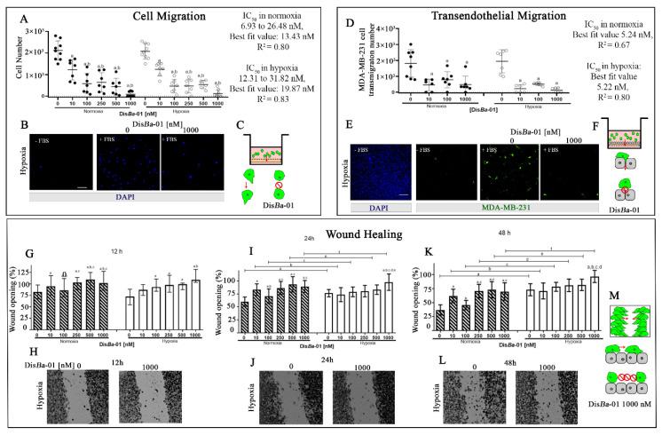 https://cdn.ncbi.nlm.nih.gov/pmc/blobs/142a/8835904/86c2ba4299a4/ijms-23-01745-g001.jpg