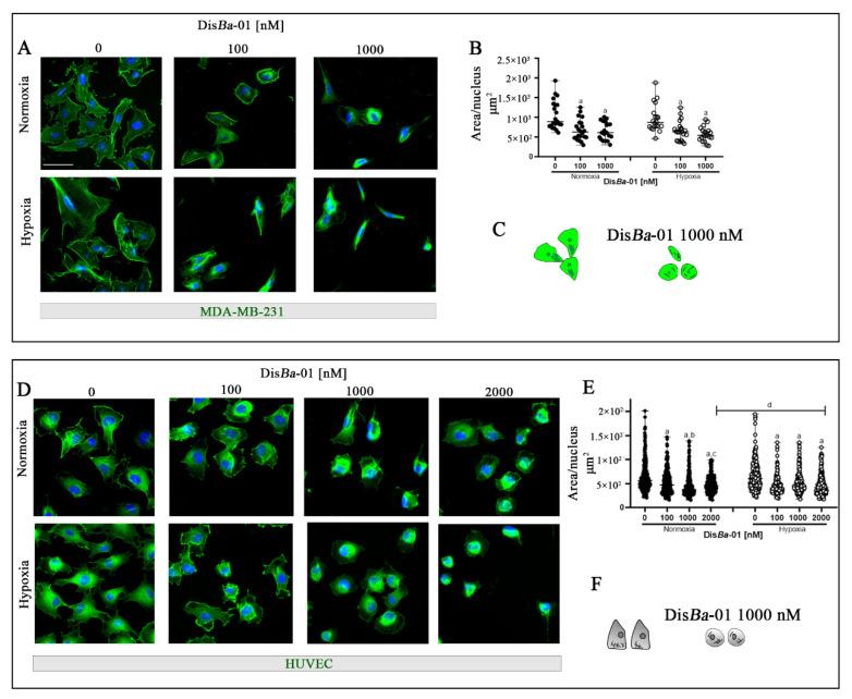 https://cdn.ncbi.nlm.nih.gov/pmc/blobs/142a/8835904/d69362ba69a8/ijms-23-01745-g005.jpg