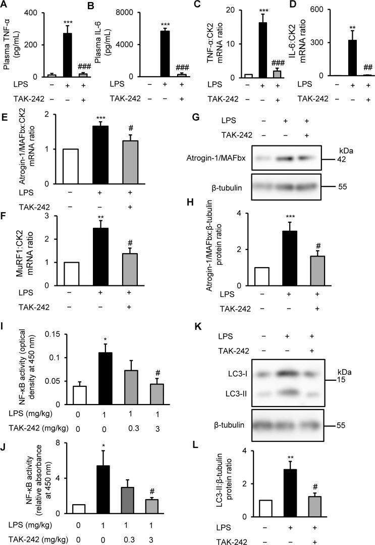 https://cdn.ncbi.nlm.nih.gov/pmc/blobs/142b/6970997/acfdb78b56f0/41598_2020_57714_Fig4_HTML.jpg