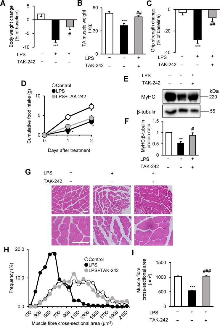 https://cdn.ncbi.nlm.nih.gov/pmc/blobs/142b/6970997/fa580e84bd51/41598_2020_57714_Fig3_HTML.jpg