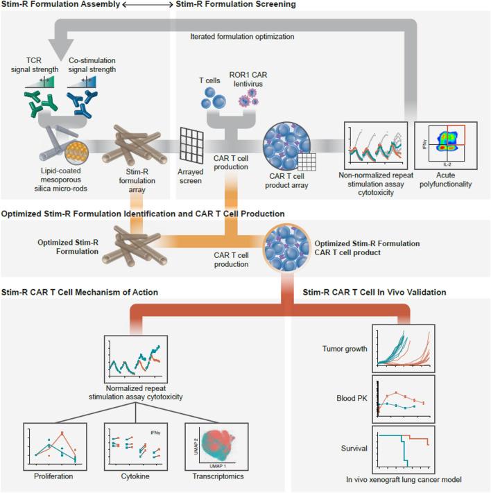 https://cdn.ncbi.nlm.nih.gov/pmc/blobs/142f/11392953/1a53cafb11c5/41598_2024_72392_Fig2_HTML.jpg