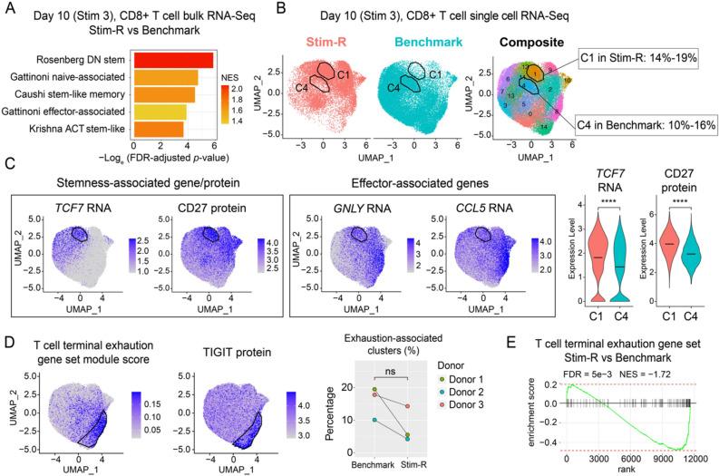 https://cdn.ncbi.nlm.nih.gov/pmc/blobs/142f/11392953/b35a4b050a8e/41598_2024_72392_Fig5_HTML.jpg