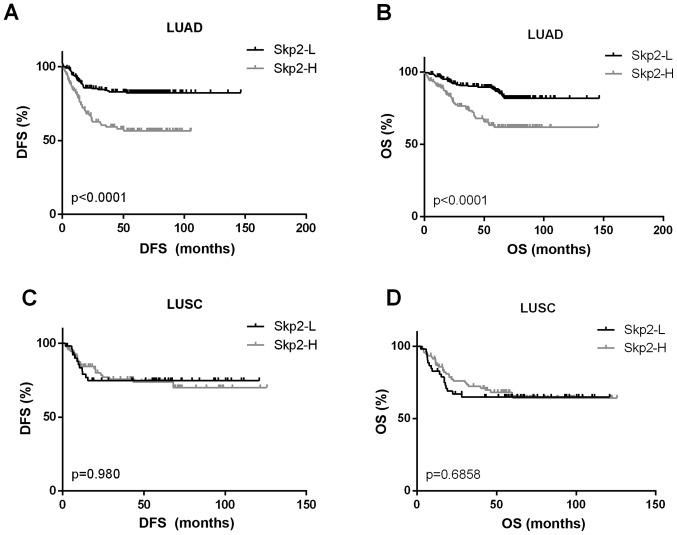 https://cdn.ncbi.nlm.nih.gov/pmc/blobs/142f/6096237/4381b0b85135/ol-16-03-2873-g01.jpg