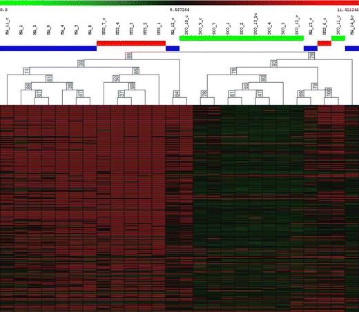 https://cdn.ncbi.nlm.nih.gov/pmc/blobs/1430/2939328/052d2b409838/439_2010_865_Fig3_HTML.jpg