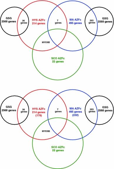 https://cdn.ncbi.nlm.nih.gov/pmc/blobs/1430/2939328/1a96f5b6f7ba/439_2010_865_Fig4_HTML.jpg