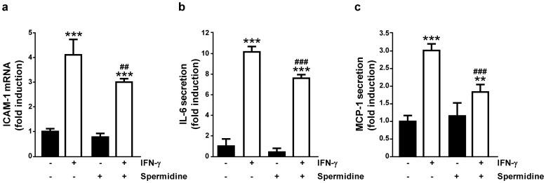 https://cdn.ncbi.nlm.nih.gov/pmc/blobs/1430/3767590/f1c093d306f6/pone.0073703.g006.jpg