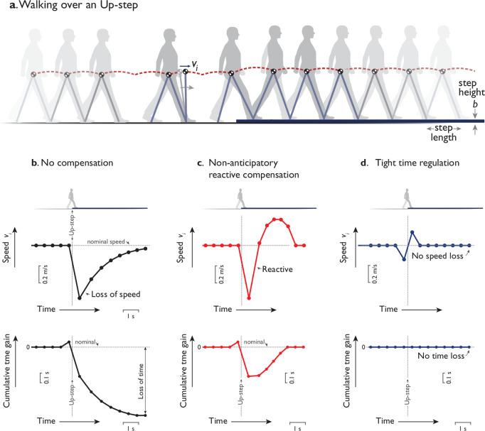 https://cdn.ncbi.nlm.nih.gov/pmc/blobs/1430/8920505/ece1304eab10/elife-65402-fig1.jpg