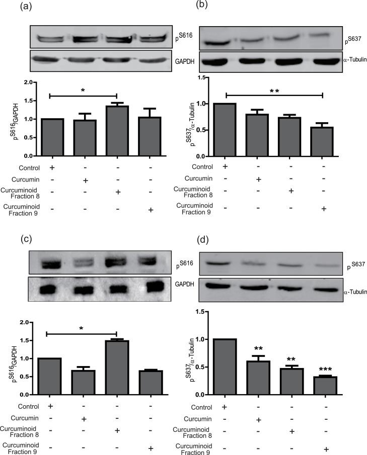 https://cdn.ncbi.nlm.nih.gov/pmc/blobs/1431/12206055/49574cf889b5/gr7.jpg