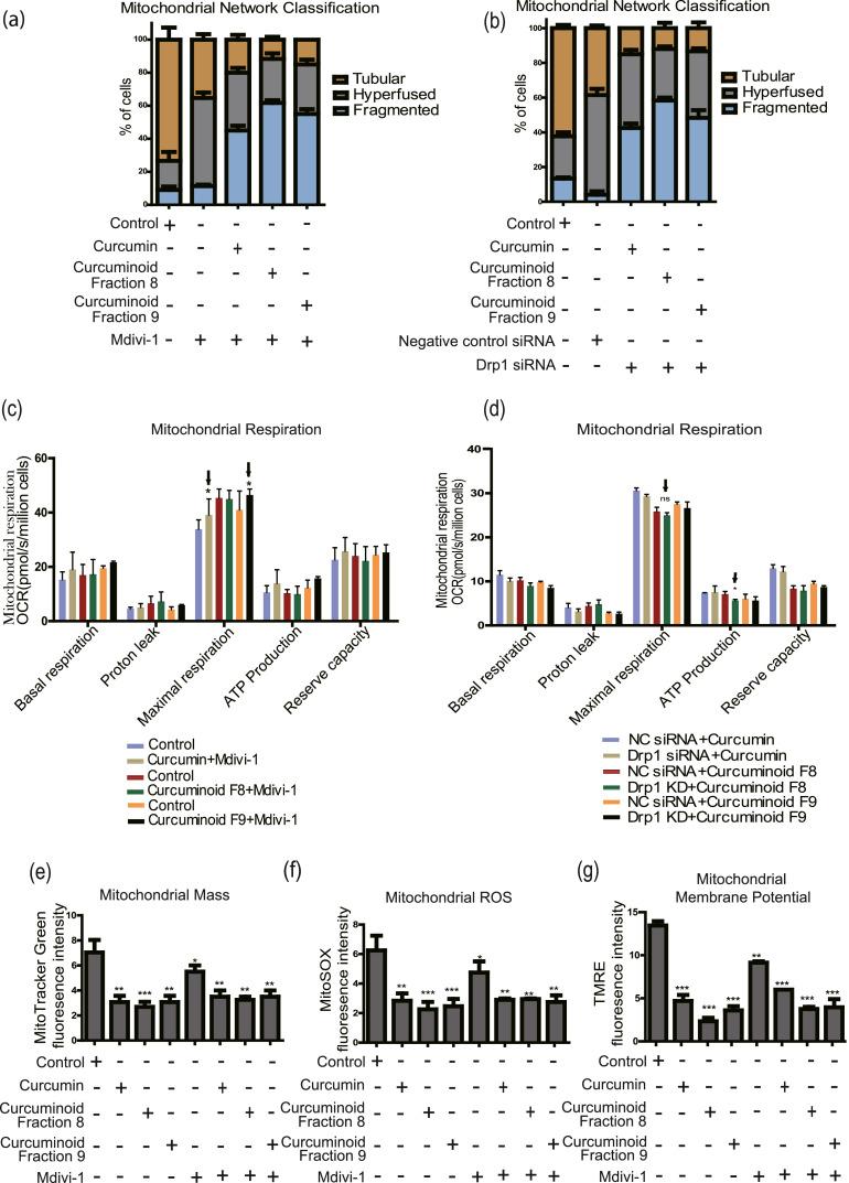 https://cdn.ncbi.nlm.nih.gov/pmc/blobs/1431/12206055/58187ecad090/gr6.jpg