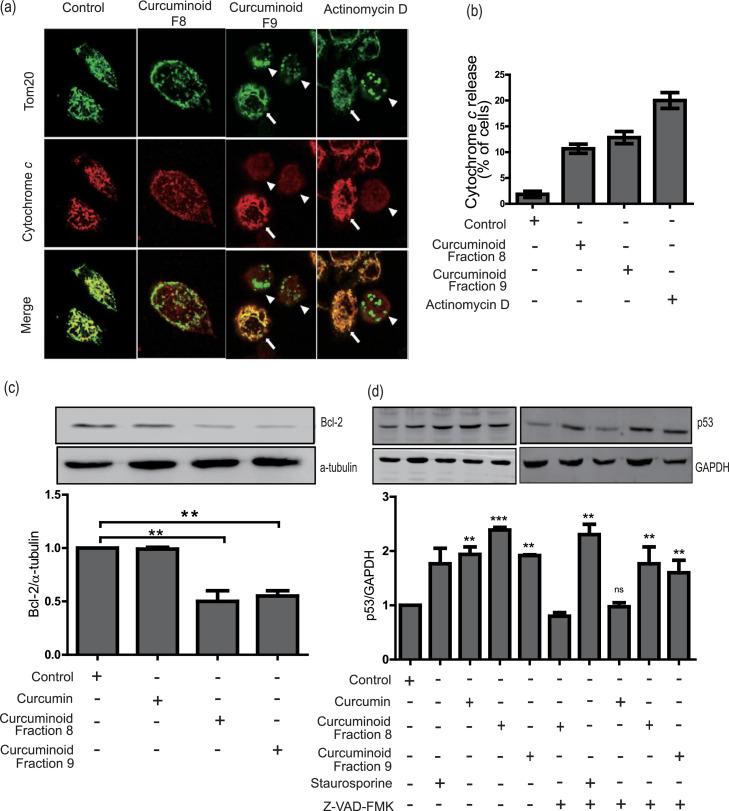https://cdn.ncbi.nlm.nih.gov/pmc/blobs/1431/12206055/68ad3506adcc/gr5.jpg