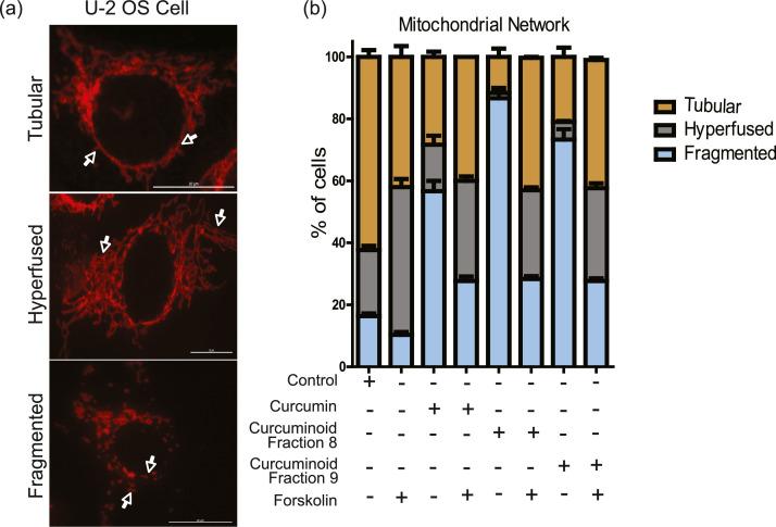 https://cdn.ncbi.nlm.nih.gov/pmc/blobs/1431/12206055/e22971fecfaa/gr8.jpg