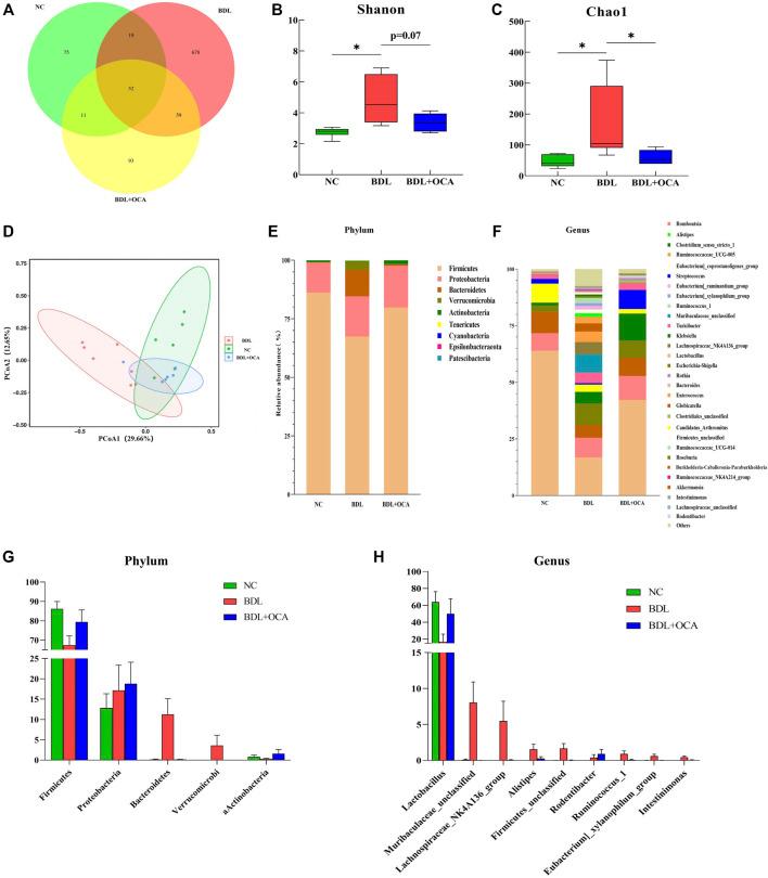 https://cdn.ncbi.nlm.nih.gov/pmc/blobs/1433/9234329/26669e7fc804/fphar-13-906452-g004.jpg