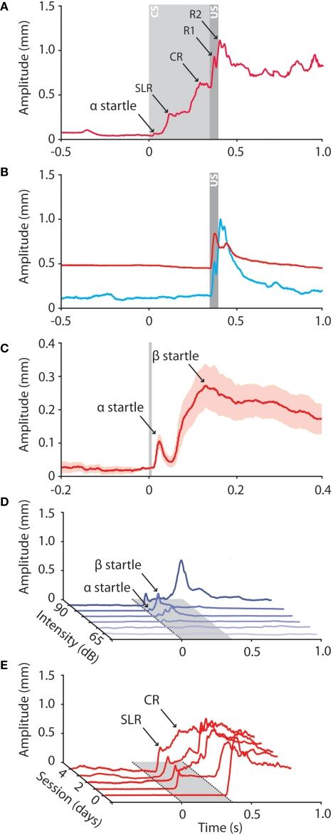 https://cdn.ncbi.nlm.nih.gov/pmc/blobs/1434/2805432/4d3e132b37c2/fncel-03-019-g002.jpg