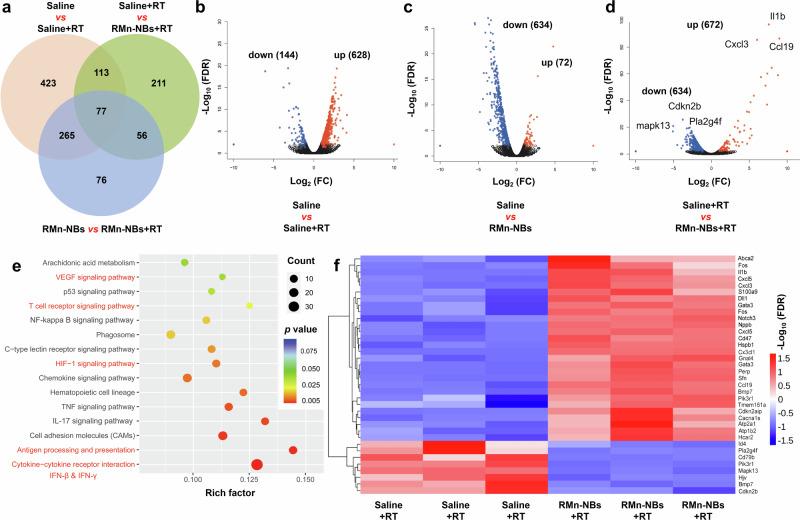 https://cdn.ncbi.nlm.nih.gov/pmc/blobs/1436/11458765/7e7dd69e892a/41467_2024_53084_Fig5_HTML.jpg