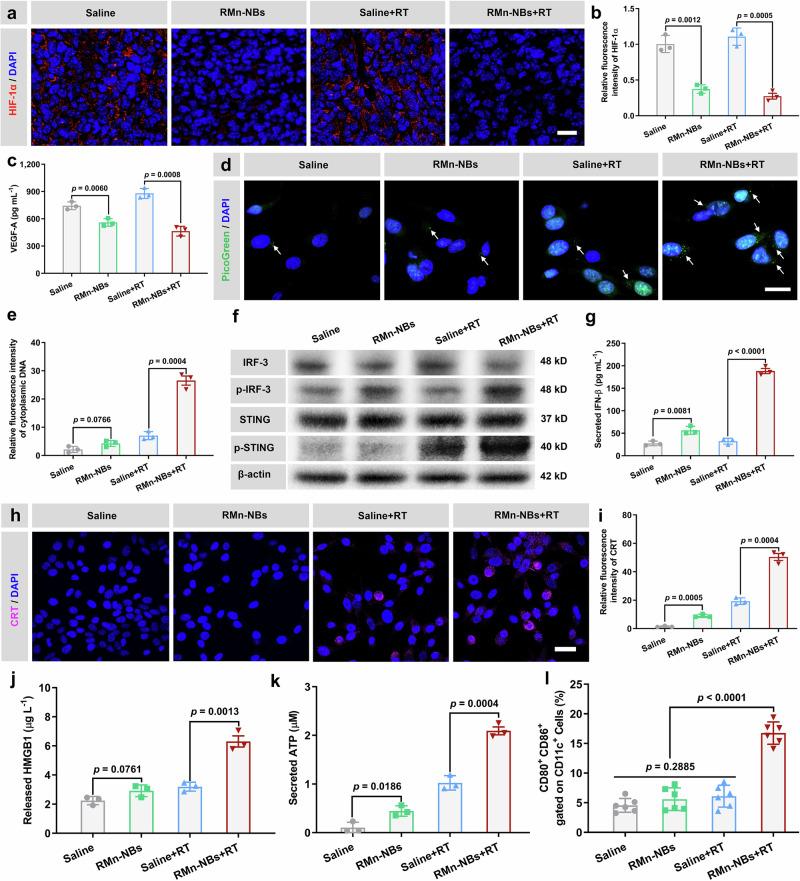 https://cdn.ncbi.nlm.nih.gov/pmc/blobs/1436/11458765/dd046eaa6408/41467_2024_53084_Fig6_HTML.jpg