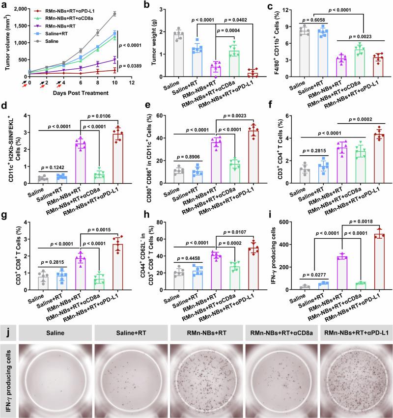 https://cdn.ncbi.nlm.nih.gov/pmc/blobs/1436/11458765/fc466ae3a90a/41467_2024_53084_Fig8_HTML.jpg