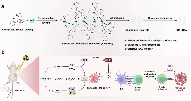 https://cdn.ncbi.nlm.nih.gov/pmc/blobs/1436/11458765/fc6932299717/41467_2024_53084_Fig1_HTML.jpg