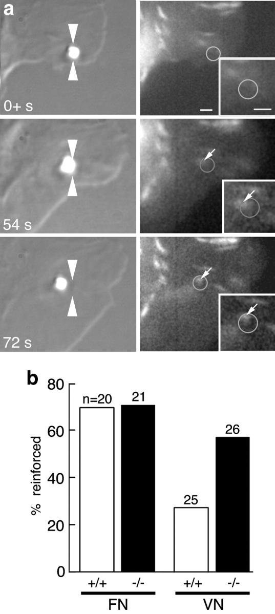 https://cdn.ncbi.nlm.nih.gov/pmc/blobs/1436/2173098/4300373196b7/200204153f9.jpg