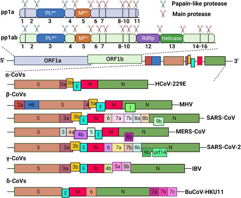 https://cdn.ncbi.nlm.nih.gov/pmc/blobs/1437/8349388/5bff2ed2b0f1/gr1_lrg.jpg
