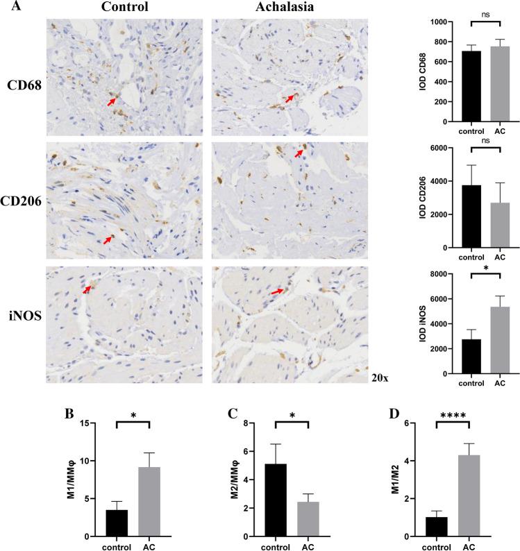 https://cdn.ncbi.nlm.nih.gov/pmc/blobs/1438/10102055/6c6a1a1480bd/10620_2022_7734_Fig2_HTML.jpg