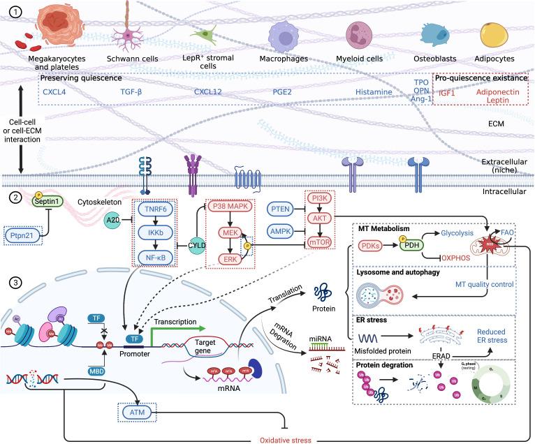 https://cdn.ncbi.nlm.nih.gov/pmc/blobs/1438/10200893/4c3ad64fb746/fimmu-14-1141779-g002.jpg