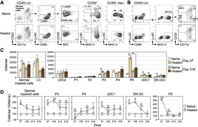 https://cdn.ncbi.nlm.nih.gov/pmc/blobs/1439/12336041/833394d11297/fimmu-16-1590687-g003.jpg