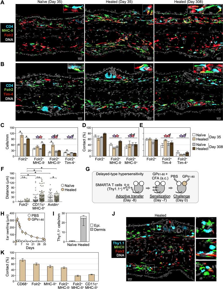 https://cdn.ncbi.nlm.nih.gov/pmc/blobs/1439/12336041/8fd8d842ec5c/fimmu-16-1590687-g005.jpg