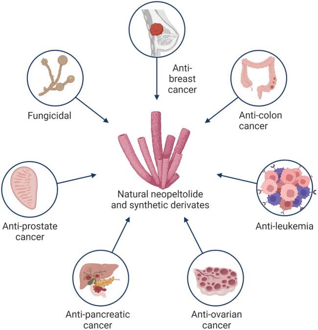 https://cdn.ncbi.nlm.nih.gov/pmc/blobs/143b/10280003/8a9ce3df5753/fphar-14-1206334-g002.jpg
