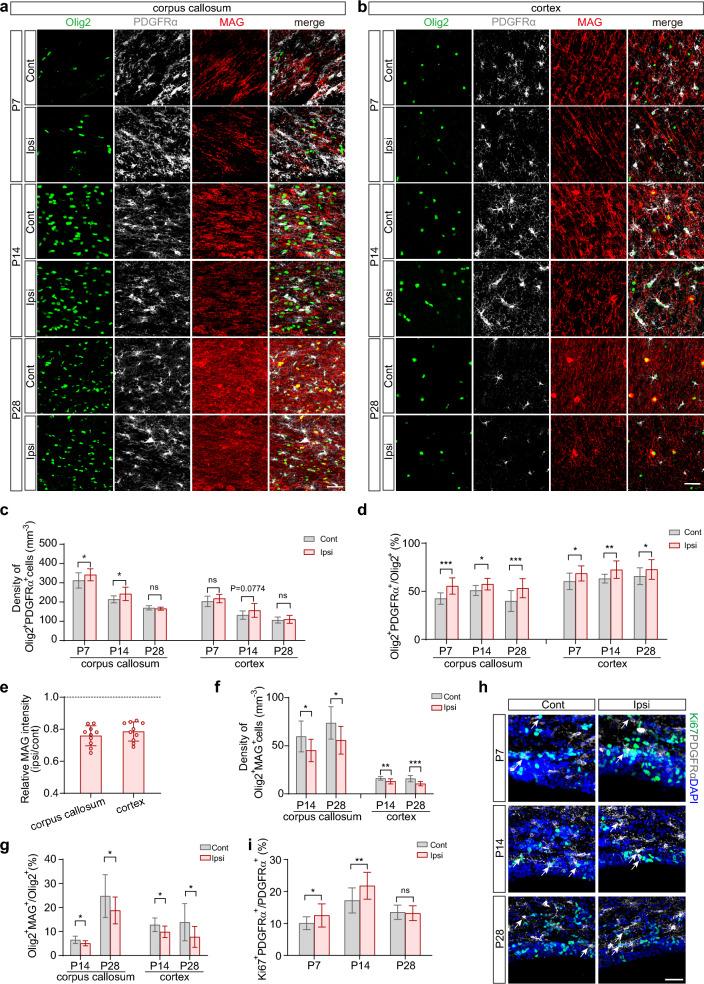 https://cdn.ncbi.nlm.nih.gov/pmc/blobs/143b/11921748/24818fe0e792/13287_2025_4267_Fig2_HTML.jpg