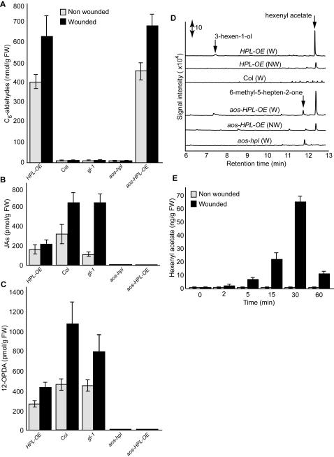 https://cdn.ncbi.nlm.nih.gov/pmc/blobs/143b/2271129/52ce70a42970/pone.0001904.g001.jpg