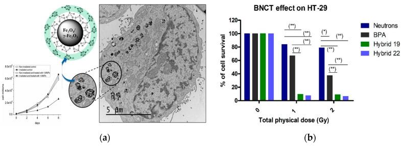https://cdn.ncbi.nlm.nih.gov/pmc/blobs/143c/10254173/897c8e21a976/molecules-28-04449-g006.jpg