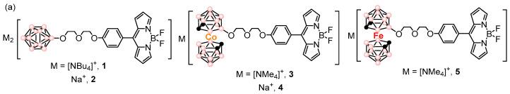 https://cdn.ncbi.nlm.nih.gov/pmc/blobs/143c/10254173/90e0a2255e6f/molecules-28-04449-g012a.jpg