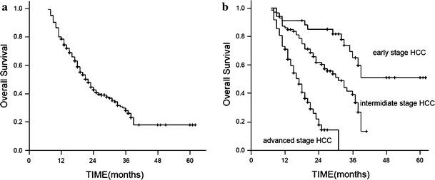 https://cdn.ncbi.nlm.nih.gov/pmc/blobs/143e/3501181/aa2d206df921/534_2011_490_Fig4_HTML.jpg