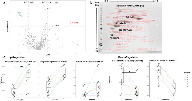 https://cdn.ncbi.nlm.nih.gov/pmc/blobs/143f/12402120/f194d1f7aa65/43856_2025_1075_Fig2_HTML.jpg